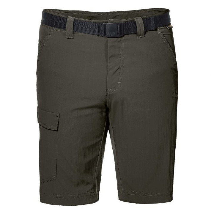 Spodenki JACK WOLFSKIN HOGGAR SHORTS dark moss