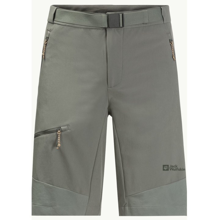 Spodenki JACK WOLFSKIN Ziegspitz Shorts Men gecko green