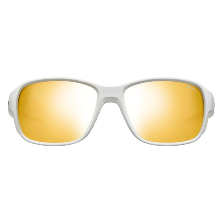 Okulary JULBO Monterosa 2 Reactive Performance 2-4 grey/light grey