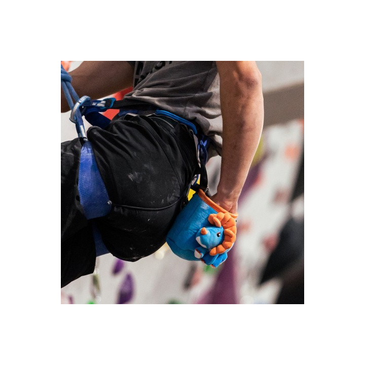 Woreczek na magnezję YY VERTICAL Chalk Bag Triceratops