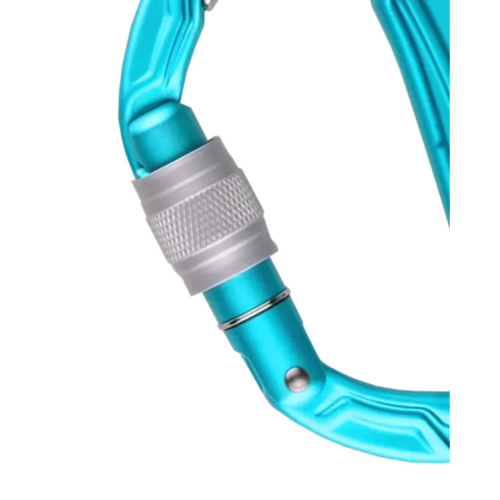 Karabinek EDELRID Bulletproof Screw icemint